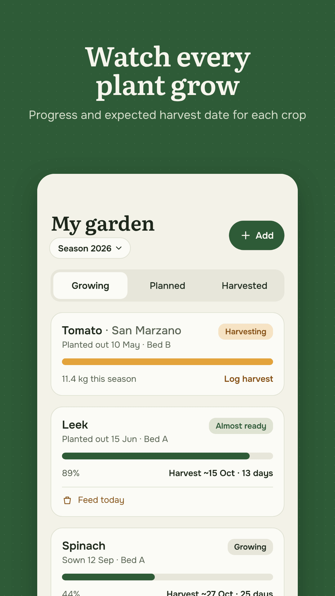 Hortium my garden: beds and plantings